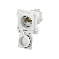 魏德米勒 接插件 RockStar?ModuPlug  工業以太網  訂貨號  8808440000  / IE-XM-RJ45/IDC-IP67